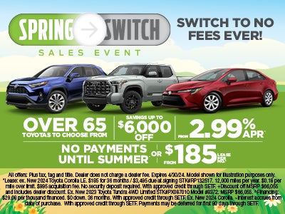 Spring Switch Sales Event